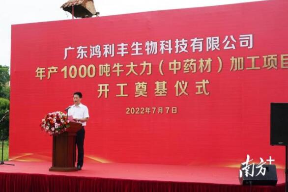 年產(chǎn)1000噸！牛大力（中藥材）加工項(xiàng)目在興寧開(kāi)工奠基
